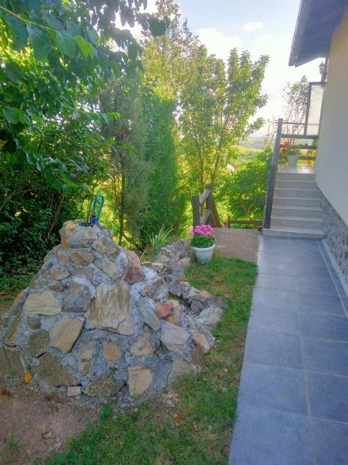 Apartment Noletov Vidikovac Vrdnik Exterior photo